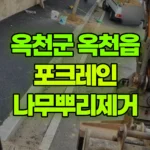 충북 옥천군 옥천읍 포크레인 나무뿌리제거 현장 사진