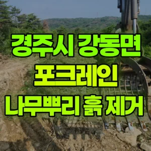 경북 경주시 03궤도(LC) 포크레인(굴착기) 나무뿌리 흙 제거  일대 비용