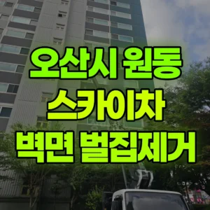 경기 오산시 스카이차 단지내 벽면 벌집제거 반나절 비용