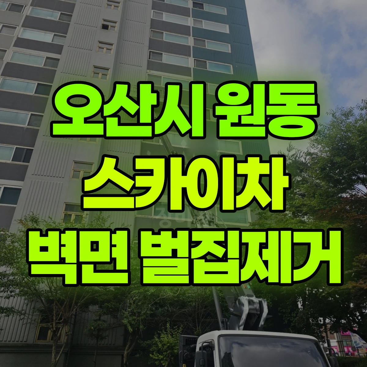 오산시 원동 스카이차 벽면 벌집제거 비용