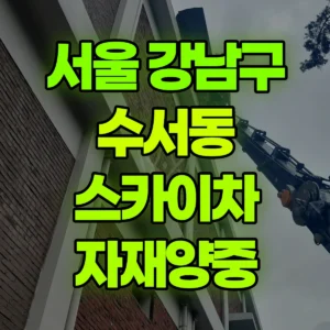 서울 강남구 스카이차 자재양중 반나절 후기
