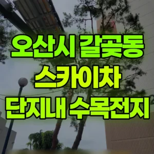 경기 오산시 스카이차 단지내 수목전지 3일 비용