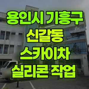 경기 용인시 스카이차 실리콘 작업  반나절 후기