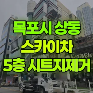 전남광주 목포시 스카이차 5층 시트지제거 2시간 후기