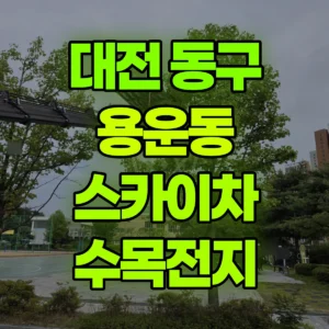 대전 동구 스카이차 수목전지 2일 비용