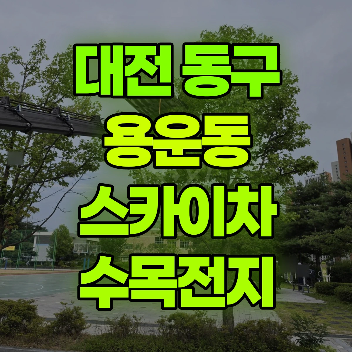 대전 동구 용운동 스카이차 수목전지 비용