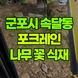 경기 군포시 02궤도(LC) 포크레인(굴착기) 나리시/ 나무,꽃-식재 일대 비용