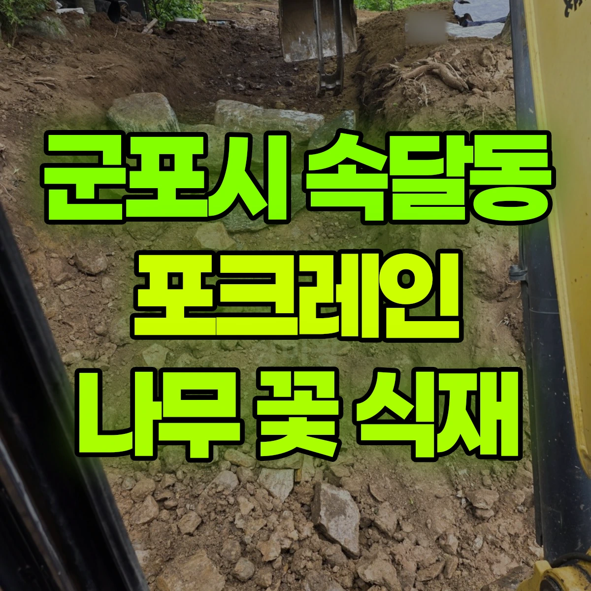 군포시 속달동 포크레인 나무 꽃 식재 비용