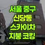 서울 중구 신당동 스카이차 지붕 코킹 현장 사진