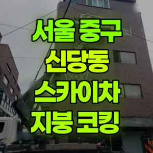 서울 중구 스카이차 지붕 코킹  반나절 비용