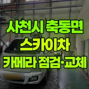 경남 사천시 스카이차 카메라 점검 및 교체 고소작업 1시간 후기