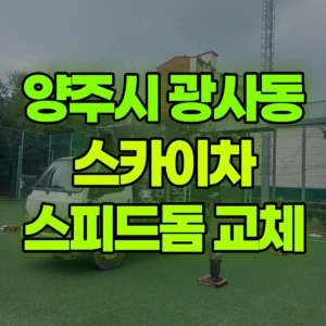 경기 양주시 스카이차 스피드돔 카메라교체 1시간 후기