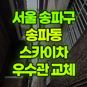 서울 송파구 스카이차 옥상 빗물받이 우수관교체 1시간 후기