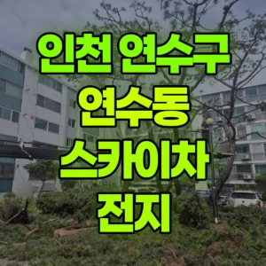 인천 연수구 스카이차 전지 반나절 후기