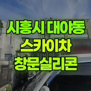 경기 시흥시 스카이차 창문실리콘 일대 후기