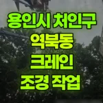 경기 용인시 처인구 역북동 크레인 조경 작업 현장 사진