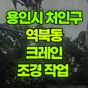 경기 용인시 13톤 맹꽁이 크레인 조경 작업  일대 후기