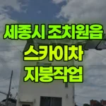 세종 조치원읍 스카이차 지붕작업 현장 사진