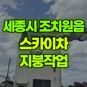 세종시 큰샘길 스카이차 지붕작업 1시간 후기