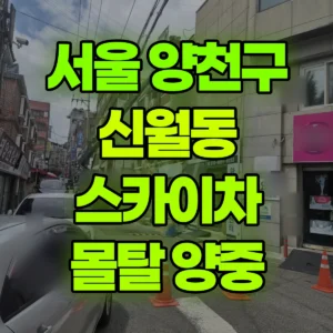 서울 양천구 스카이차 5층 몰탈시멘트 양중 1시간 후기