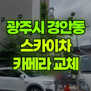 경기 광주시 스카이차 카메라 교체 1시간 후기