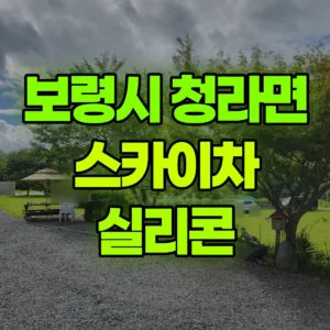 충남 보령시 스카이차 실리콘 2일 비용