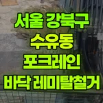 서울 강북구 수유동 포크레인 바닥-레미탈철거 현장 사진