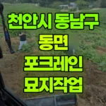 충남 천안시 동남구 동면 포크레인 묘지작업 현장 사진