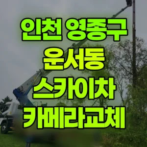 인천 영종구 스카이차 카메라교체 1시간 후기