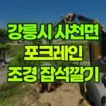 강원 강릉시 사천면 포크레인 나무식재/조경 흙 긁어내고 잡석깔기 현장 사진