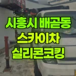 경기 시흥시 배곧동 스카이차 실리콘코킹 현장 사진