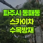 경기 파주시 동패동 스카이차 수목방재 현장 사진