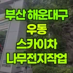 부산 해운대구 우동 스카이차 나무전지작업 현장 사진