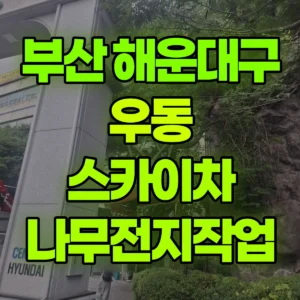 부산 해운대구 스카이차 나무전지작업 반나절 비용