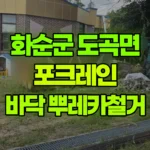 전남 화순군 도곡면 포크레인 바닥철거-뿌레카작업 현장 사진