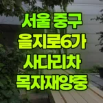 서울 중구 을지로6가 사다리차 목자재양중 현장 사진