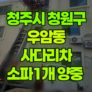 충북 청주시 1톤 사다리차 소파1개 양중  간단작업 비용