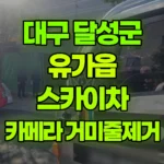 대구 달성군 유가읍 스카이차 카메라 거미줄제거 현장 사진