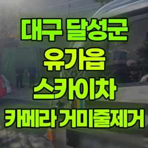 대구 달성군 스카이차 카메라 거미줄제거 1시간 비용