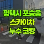 경기 평택시 포승읍 스카이차 누수/실리콘코킹 현장 사진