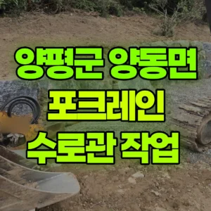 경기 양평군 02궤도(LC) 포크레인(굴착기) 수로관 작업  2일 비용