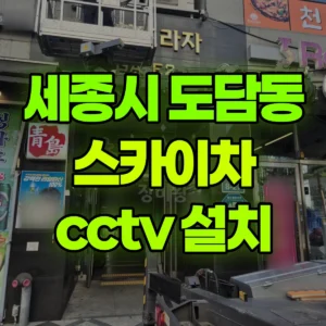세종시 보듬3로 스카이차 cctv 설치 1시간 비용