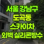 서울 강남구 도곡동 스카이차 외벽실리콘, 발수재 현장 사진