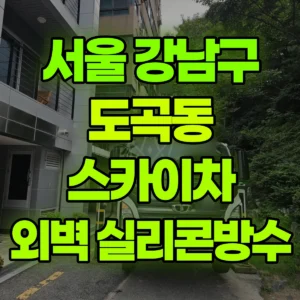 서울 강남구 스카이차 외벽실리콘,발수재 반나절 후기
