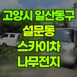 경기 고양시 일산동구 설문동 스카이차 나무전지 현장 사진
