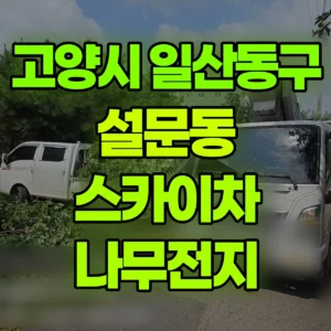 경기 고양시 스카이차 나무전지 1시간 후기