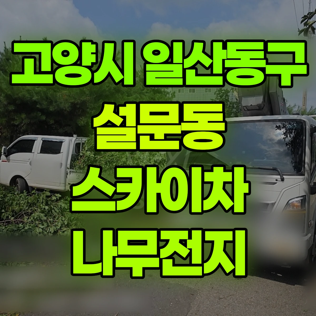 고양시 일산동구 설문동 스카이차 나무전지 비용