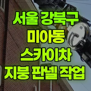 서울 강북구 스카이차 지붕 판넬 작업  반나절 비용