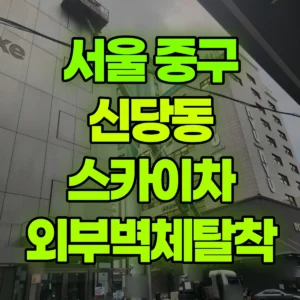 서울 중구 스카이차 외부벽체탈착 반나절 후기