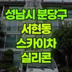 경기 성남시 분당구 서현동 스카이차 실리콘 현장 사진